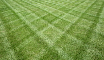 Indianapolis lawn mowing service, Indiana - Castleton Lawn Care