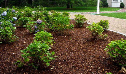 Mulch service in Indianapolis